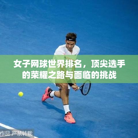 女子網球世界排名，頂尖選手的榮耀之路與面臨的挑戰(zhàn)