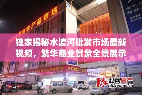 獨(dú)家揭秘水渡河批發(fā)市場(chǎng)最新視頻，繁華商業(yè)景象全景展示！