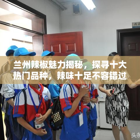 蘭州辣椒魅力揭秘，探尋十大熱門品種，辣味十足不容錯(cuò)過