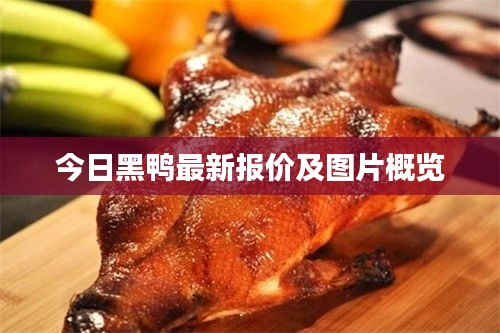 森久 第4頁(yè)