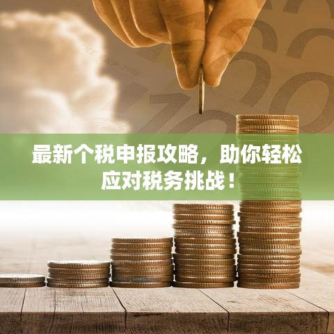 最新個(gè)稅申報(bào)攻略，助你輕松應(yīng)對稅務(wù)挑戰(zhàn)！