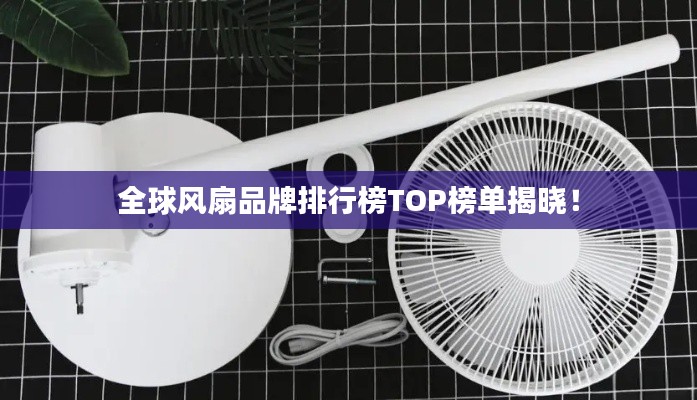 全球風(fēng)扇品牌排行榜TOP榜單揭曉！