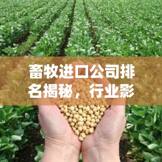 畜牧進口公司排名揭秘，行業(yè)影響力深度解析