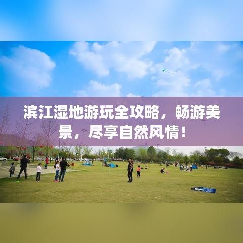 百鳥(niǎo)朝鳳 第3頁(yè)