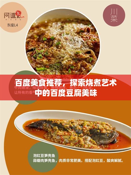 百度美食推薦，探索燒煮藝術(shù)中的百度豆腐美味