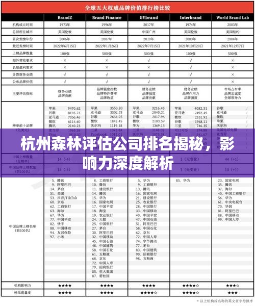 杭州森林評估公司排名揭秘，影響力深度解析