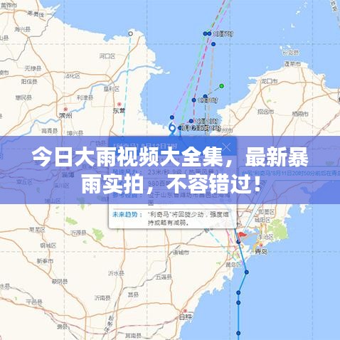 今日大雨視頻大全集，最新暴雨實拍，不容錯過！