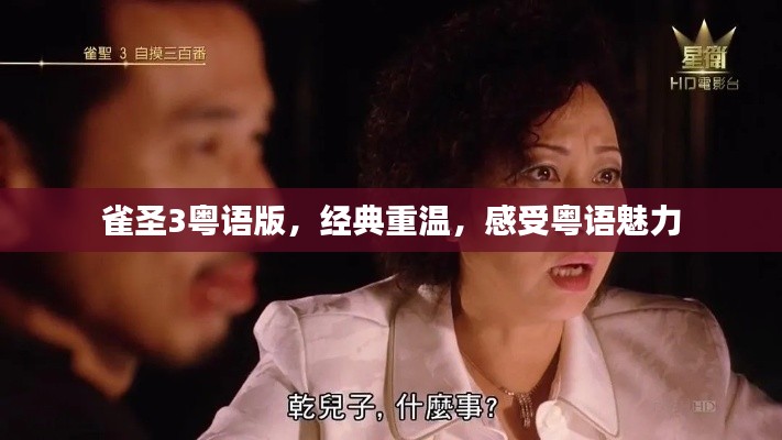 雀圣3粵語版，經(jīng)典重溫，感受粵語魅力