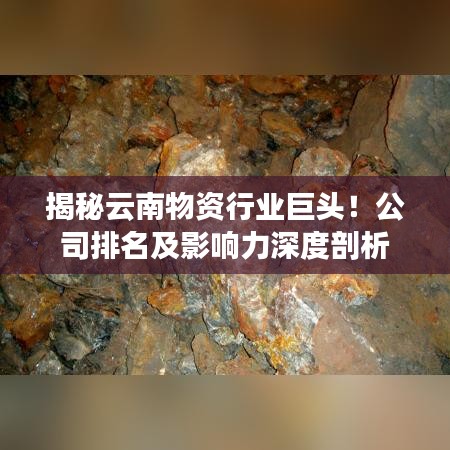 揭秘云南物資行業(yè)巨頭！公司排名及影響力深度剖析