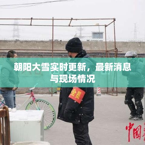 朝陽大雪實(shí)時更新，最新消息與現(xiàn)場情況