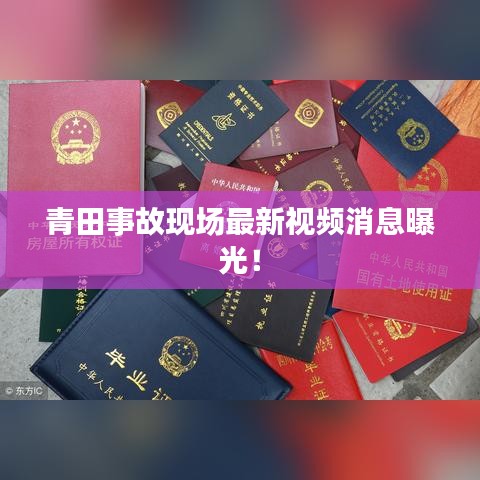 青田事故現(xiàn)場最新視頻消息曝光！
