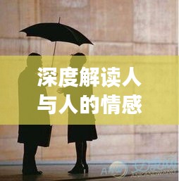 深度解讀人與人的情感連接，心心相照的魅力