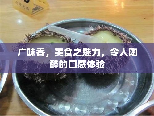 廣味香，美食之魅力，令人陶醉的口感體驗