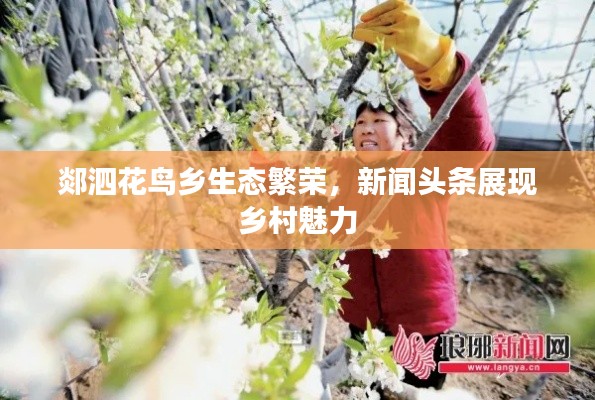 郯泗花鳥鄉(xiāng)生態(tài)繁榮，新聞?lì)^條展現(xiàn)鄉(xiāng)村魅力
