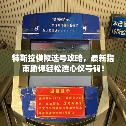 特斯拉模擬選號攻略，最新指南助你輕松選心儀號碼！