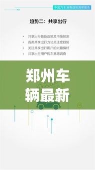 鄭州車輛最新報(bào)告揭秘，今日交通狀況全面解析