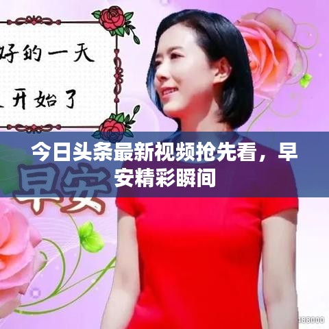 今日頭條最新視頻搶先看，早安精彩瞬間