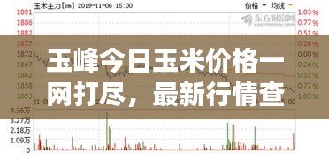 玉峰今日玉米價(jià)格一網(wǎng)打盡，最新行情查詢