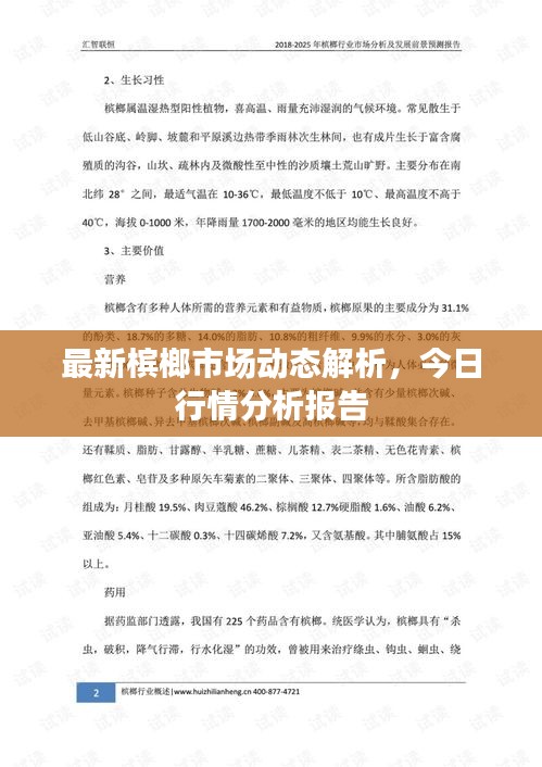 最新檳榔市場動態(tài)解析，今日行情分析報告