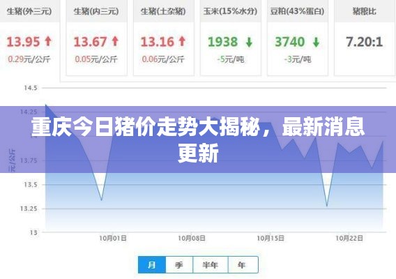 重慶今日豬價(jià)走勢大揭秘，最新消息更新