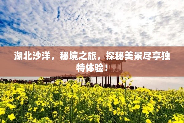 湖北沙洋，秘境之旅，探秘美景盡享獨特體驗！