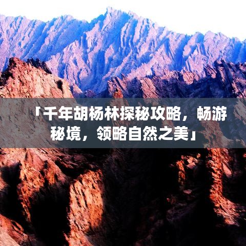 「千年胡楊林探秘攻略，暢游秘境，領略自然之美」