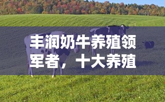 豐潤奶牛養(yǎng)殖領軍者，十大養(yǎng)殖企業(yè)榮耀上榜