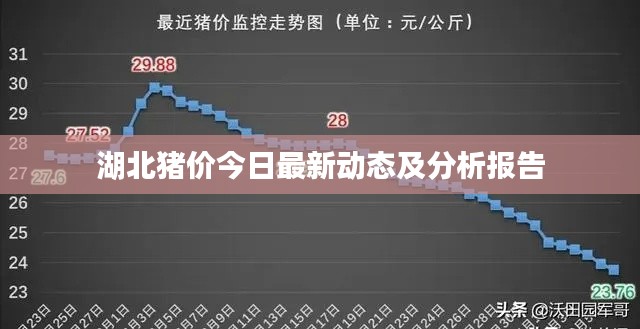 湖北豬價今日最新動態(tài)及分析報告