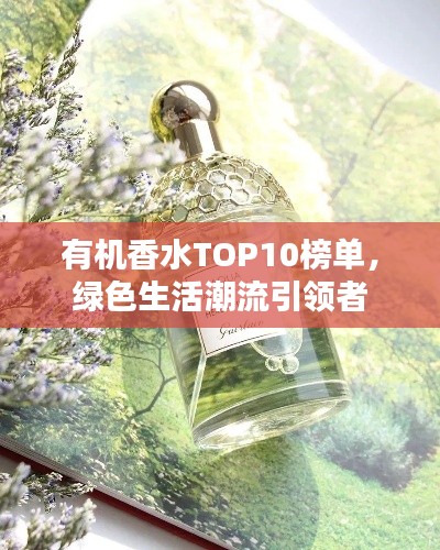 綱舉目張 第3頁