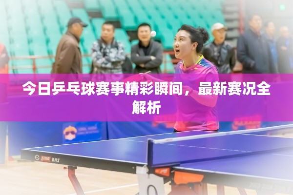 今日乒乓球賽事精彩瞬間，最新賽況全解析