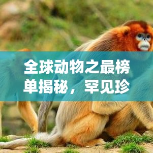 全球動物之最榜單揭秘，罕見珍稀生物震撼排名！