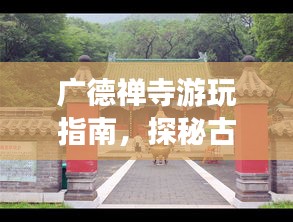 雍榮閑雅 第3頁(yè)