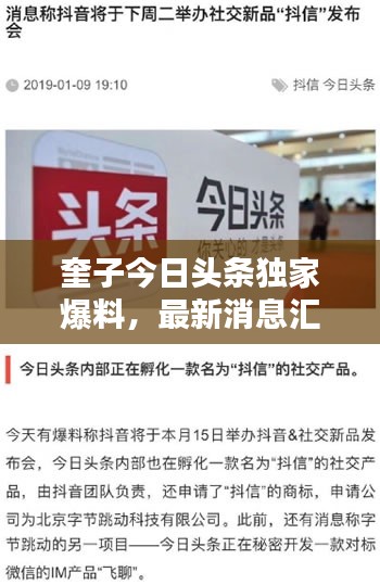 奎子今日頭條獨(dú)家爆料，最新消息匯總