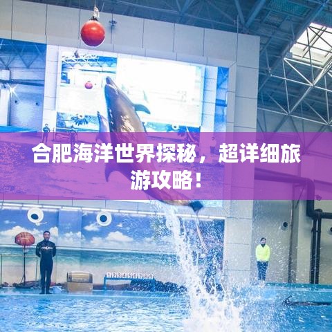 合肥海洋世界探秘，超詳細(xì)旅游攻略！
