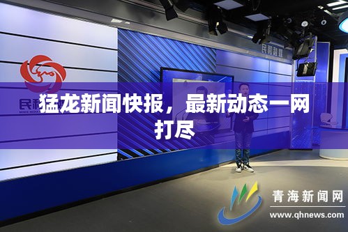 猛龍新聞快報，最新動態(tài)一網(wǎng)打盡