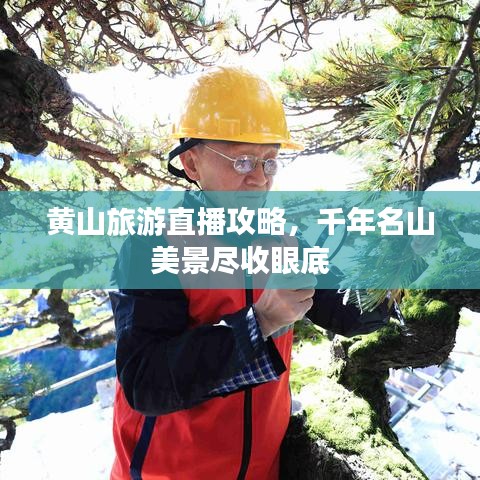 黃山旅游直播攻略，千年名山美景盡收眼底