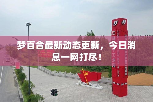 夢百合最新動態(tài)更新，今日消息一網(wǎng)打盡！