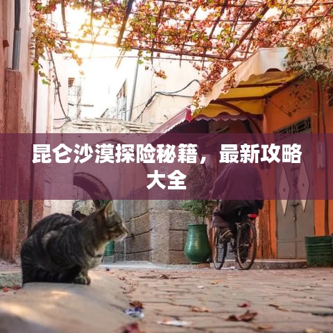 昆侖沙漠探險秘籍，最新攻略大全