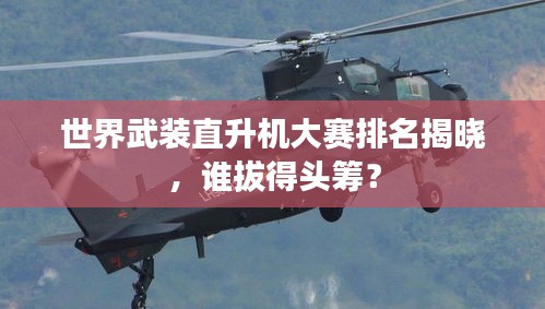 世界武裝直升機大賽排名揭曉，誰拔得頭籌？