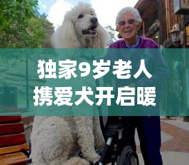 獨(dú)家9歲老人攜愛(ài)犬開(kāi)啟暖心旅游攻略，跨齡旅行展現(xiàn)別樣溫情