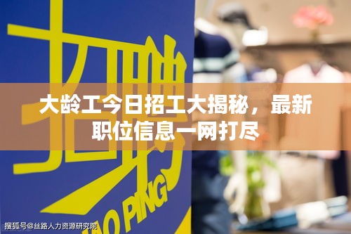 大齡工今日招工大揭秘，最新職位信息一網(wǎng)打盡