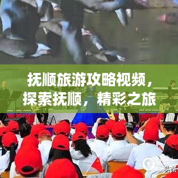 撫順旅游攻略視頻，探索撫順，精彩之旅不容錯過