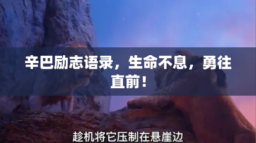 辛巴勵志語錄，生命不息，勇往直前！