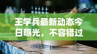 王學(xué)兵最新動(dòng)態(tài)今日曝光，不容錯(cuò)過！