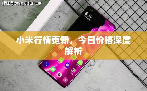 小米行情更新，今日價(jià)格深度解析