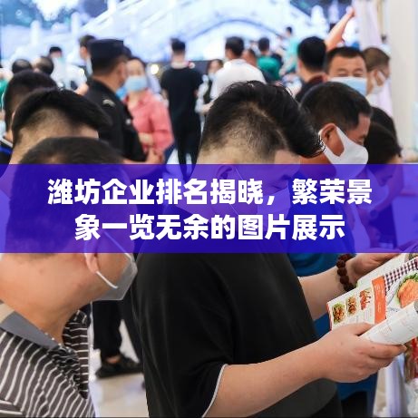 濰坊企業(yè)排名揭曉，繁榮景象一覽無余的圖片展示