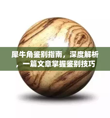 犀牛角鑒別指南，深度解析，一篇文章掌握鑒別技巧