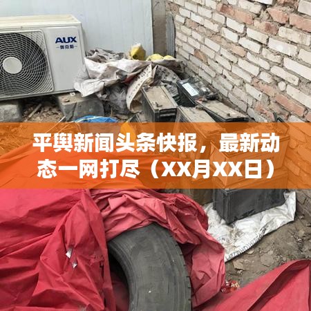 平輿新聞頭條快報，最新動態(tài)一網(wǎng)打盡（XX月XX日）