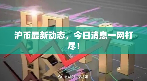 滬幣最新動(dòng)態(tài)，今日消息一網(wǎng)打盡！