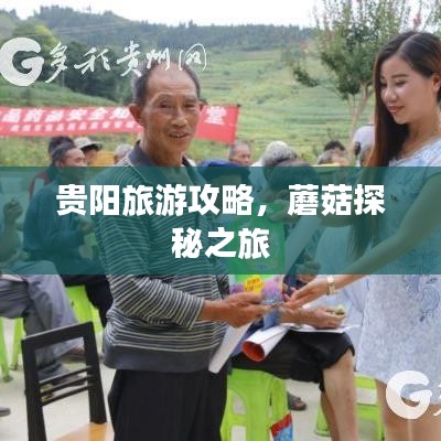 貴陽(yáng)旅游攻略，蘑菇探秘之旅